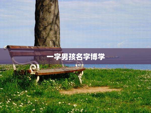 一字男孩名字博学