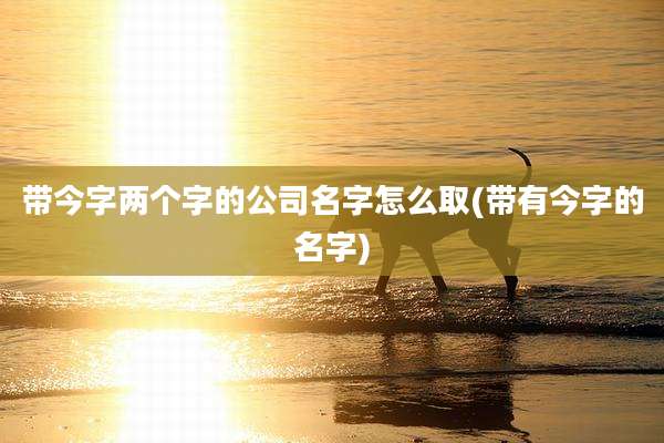 带今字两个字的公司名字怎么取(带有今字的名字)