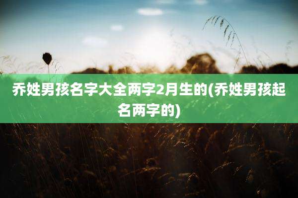 乔姓男孩名字大全两字2月生的(乔姓男孩起名两字的)