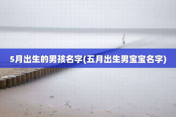 5月出生的男孩名字(五月出生男宝宝名字)