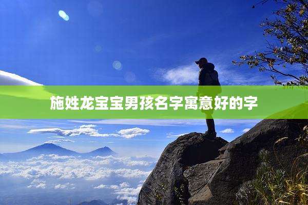 施姓龙宝宝男孩名字寓意好的字