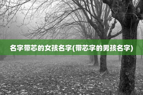 名字带芯的女孩名字(带芯字的男孩名字)