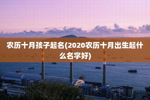 农历十月孩子起名(2020农历十月出生起什么名字好)