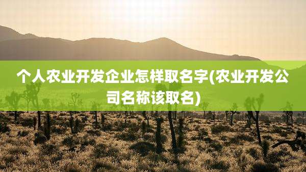 个人农业开发企业怎样取名字(农业开发公司名称该取名)