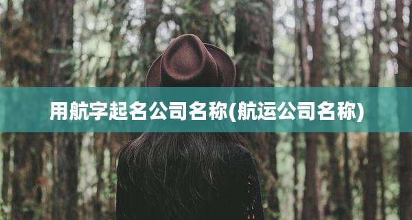用航字起名公司名称(航运公司名称)