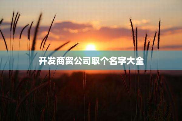 开发商贸公司取个名字大全
