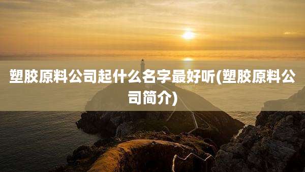 塑胶原料公司起什么名字最好听(塑胶原料公司简介)