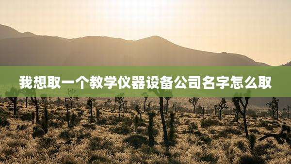 我想取一个教学仪器设备公司名字怎么取