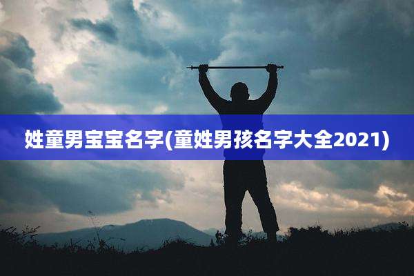 姓童男宝宝名字(童姓男孩名字大全2021)