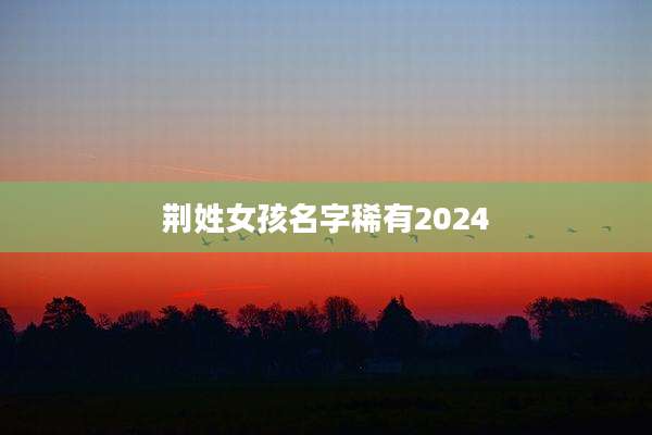 荆姓女孩名字稀有2024