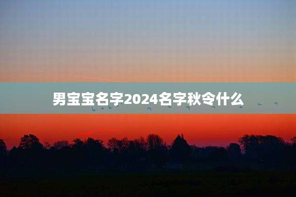 男宝宝名字2024名字秋令什么