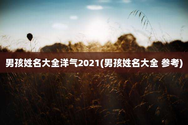男孩姓名大全洋气2021(男孩姓名大全 参考)
