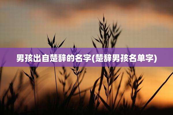 男孩出自楚辞的名字(楚辞男孩名单字)
