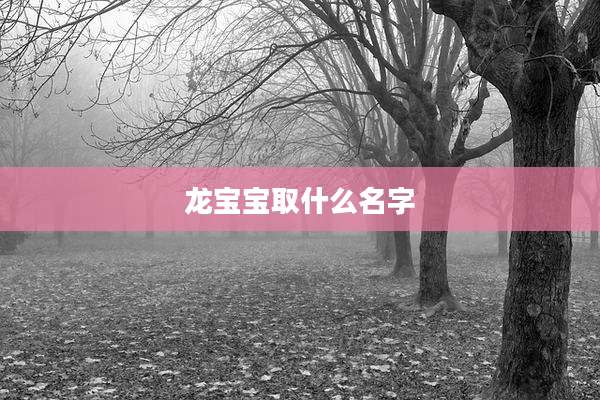 龙宝宝取什么名字