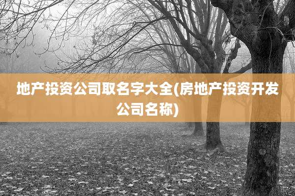 地产投资公司取名字大全(房地产投资开发公司名称)