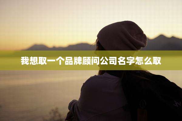 我想取一个品牌顾问公司名字怎么取