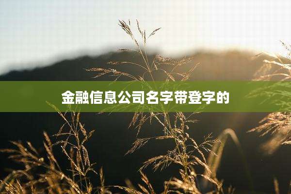 金融信息公司名字带登字的