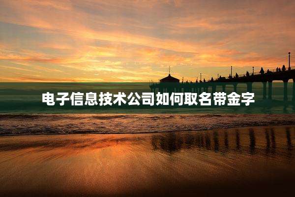 电子信息技术公司如何取名带金字