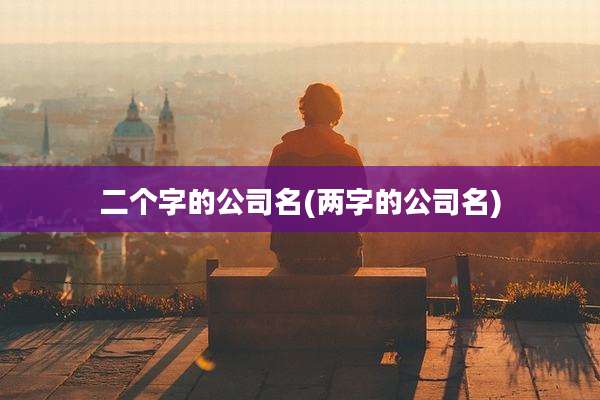 二个字的公司名(两字的公司名)