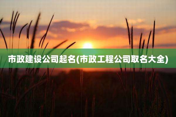 市政建设公司起名(市政工程公司取名大全)