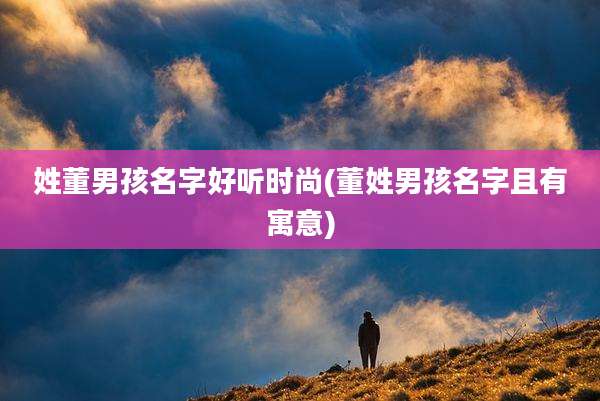 姓董男孩名字好听时尚(董姓男孩名字且有寓意)