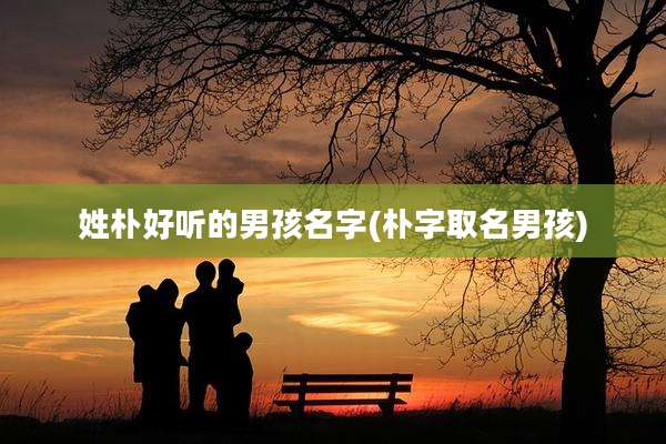 姓朴好听的男孩名字(朴字取名男孩)