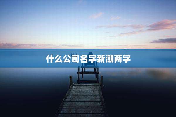 什么公司名字新潮两字