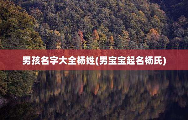 男孩名字大全杨姓(男宝宝起名杨氏)
