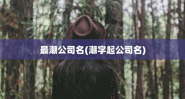 最潮公司名(潮字起公司名)