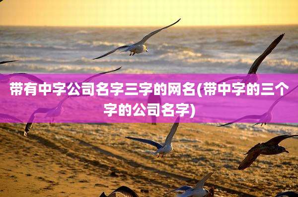 带有中字公司名字三字的网名(带中字的三个字的公司名字)