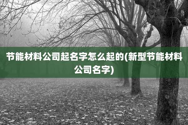 节能材料公司起名字怎么起的(新型节能材料公司名字)