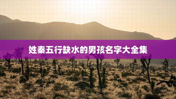 姓秦五行缺水的男孩名字大全集