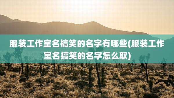 服装工作室名搞笑的名字有哪些(服装工作室名搞笑的名字怎么取)