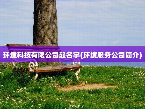 环境科技有限公司起名字(环境服务公司简介)