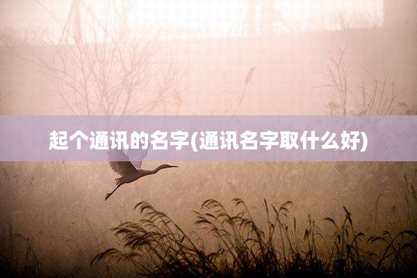 起个通讯的名字(通讯名字取什么好)