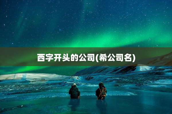 西字开头的公司(希公司名)