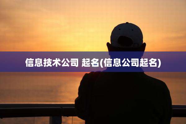 信息技术公司 起名(信息公司起名)