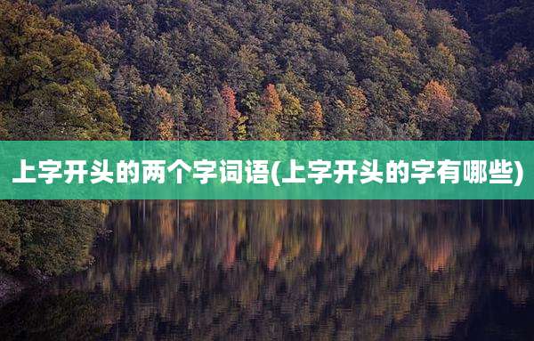 上字开头的两个字词语(上字开头的字有哪些)