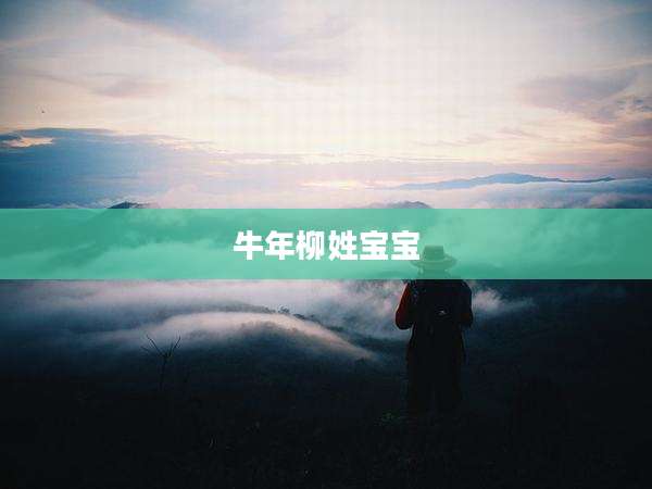 牛年柳姓宝宝