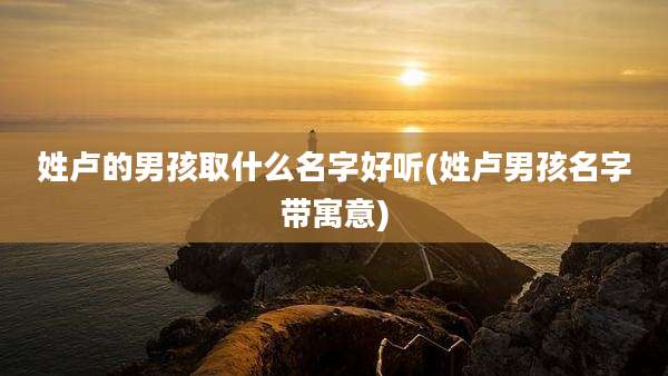 姓卢的男孩取什么名字好听(姓卢男孩名字带寓意)