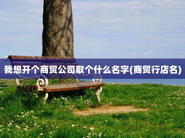 我想开个商贸公司取个什么名字(商贸行店名)