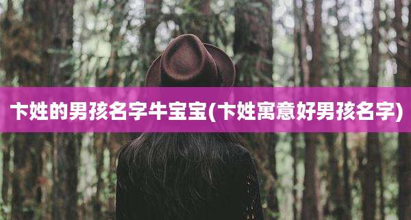卞姓的男孩名字牛宝宝(卞姓寓意好男孩名字)