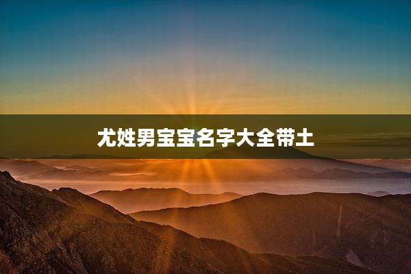 尤姓男宝宝名字大全带土
