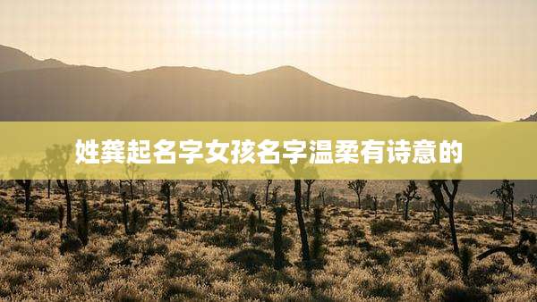 姓龚起名字女孩名字温柔有诗意的