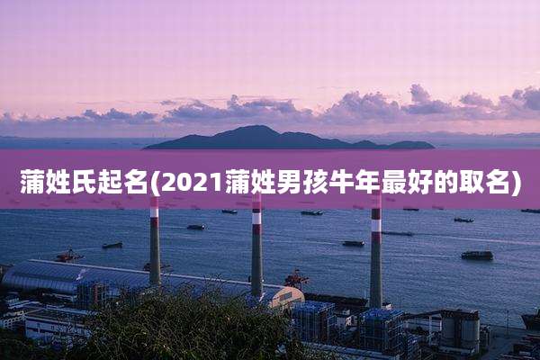 蒲姓氏起名(2021蒲姓男孩牛年最好的取名)