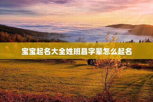 宝宝起名大全姓班昌字辈怎么起名