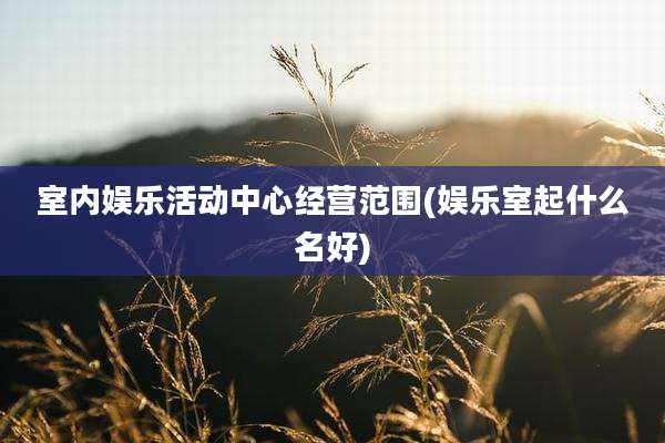 室内娱乐活动中心经营范围(娱乐室起什么名好)