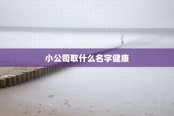 小公司取什么名字健康