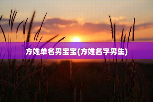 方姓单名男宝宝(方姓名字男生)