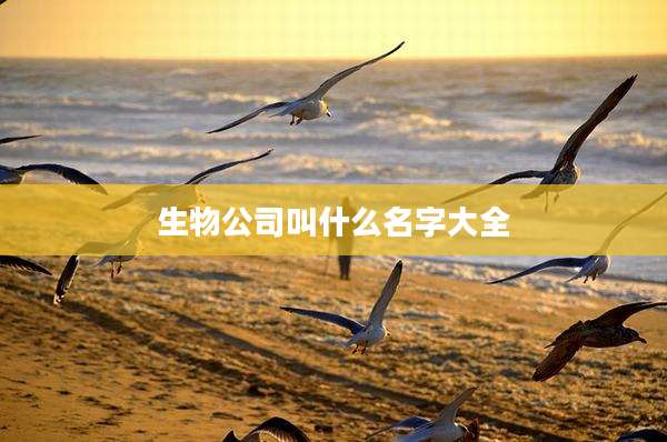 生物公司叫什么名字大全